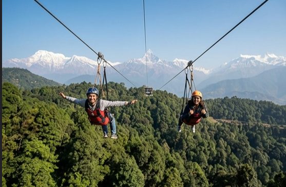 Zip Flyer